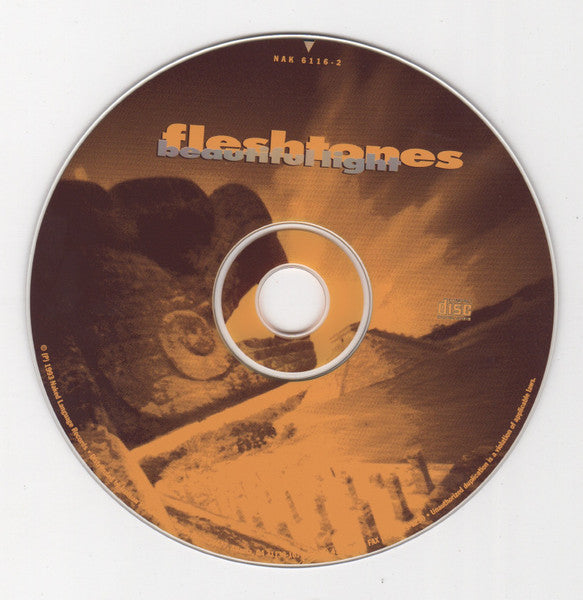 The Fleshtones : Beautiful Light (CD, Album)