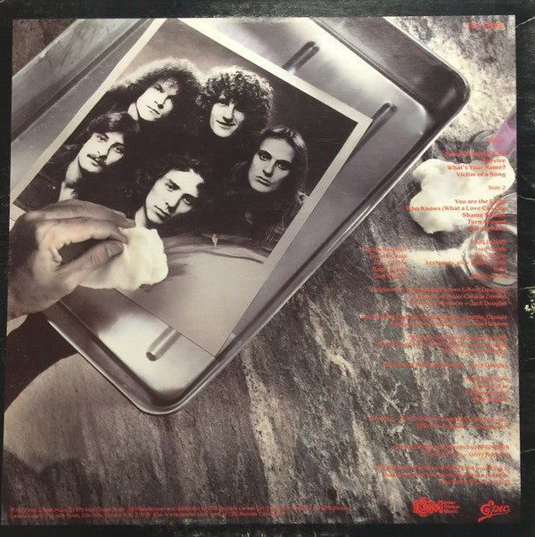 Harlequin (3) : Victim Of A Song (LP, Album)