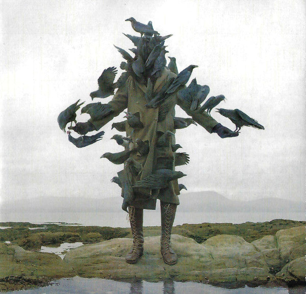 Shearwater : Rook (CD, Album)