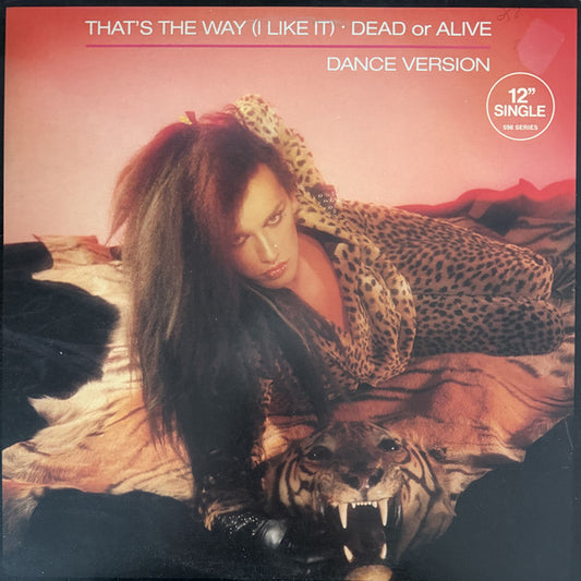 Dead Or Alive : That's The Way (I Like It) (12")