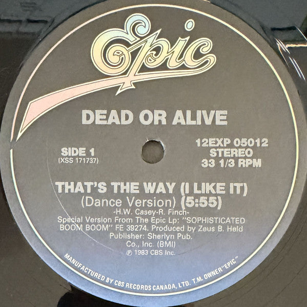Dead Or Alive : That's The Way (I Like It) (12")