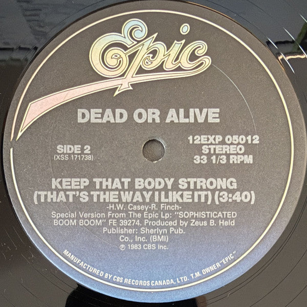 Dead Or Alive : That's The Way (I Like It) (12")
