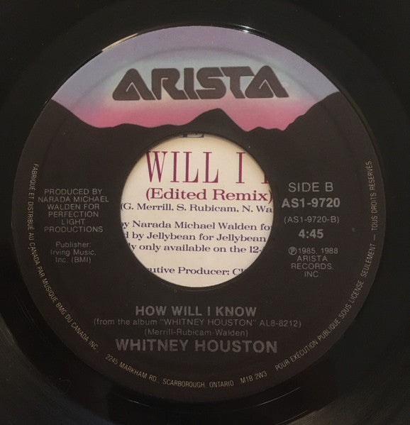 Whitney Houston : Love Will Save The Day (7", Single)