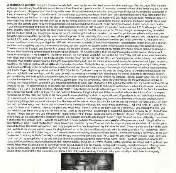 Northern State : Dying In Stereo (CD, Album)