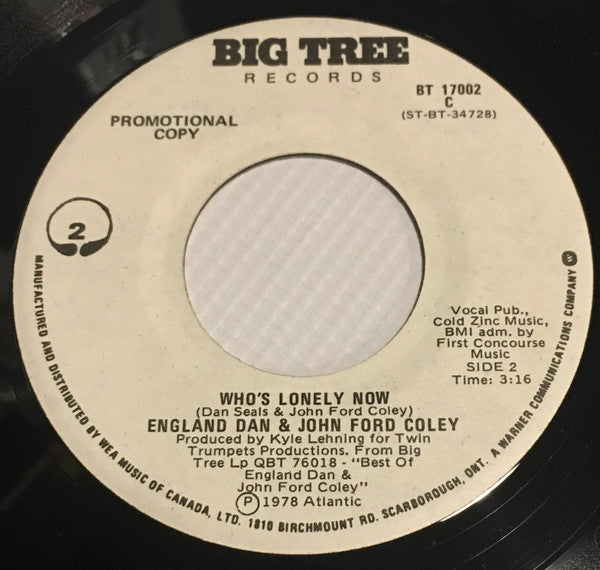 England Dan & John Ford Coley : In It For Love (7", Promo)