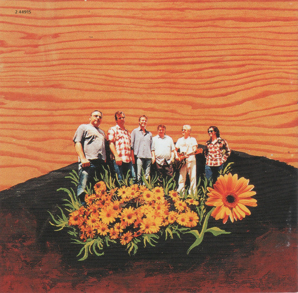 Blue Rodeo : Palace Of Gold (CD, Album)