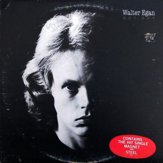 Walter Egan : Not Shy (LP, Album)