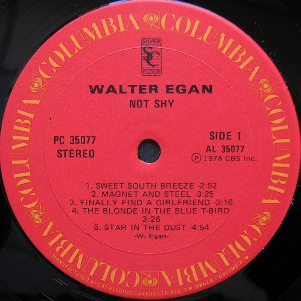 Walter Egan : Not Shy (LP, Album)