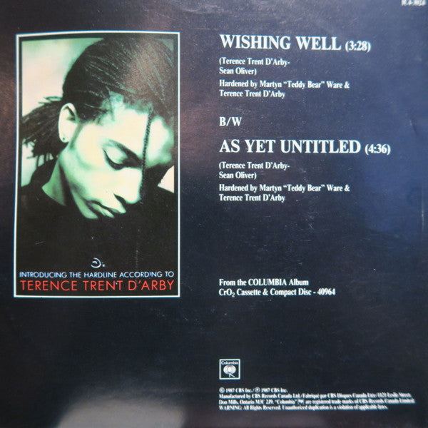 Terence Trent D'Arby : Wishing Well (7", Single)