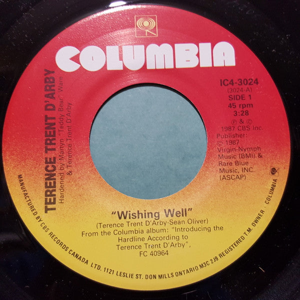 Terence Trent D'Arby : Wishing Well (7", Single)