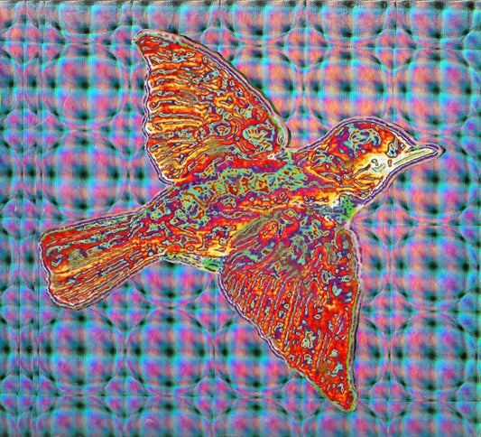 Widespread Panic : 'Til The Medicine Takes (CD, Album, UML)