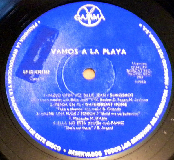 Various : Vamos A La Playa! (LP, Comp)