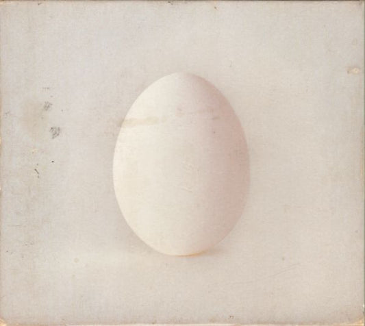 Wilco : A Ghost Is Born (CD, Album, Enh, Sli)