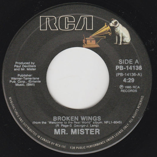 Mr. Mister : Broken Wings (7", Single)