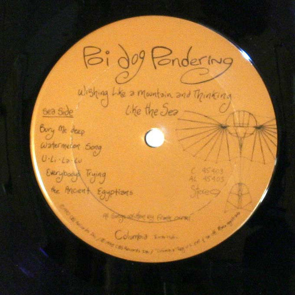 Poi Dog Pondering : Wishing Like A Mountain And Thinking Like The Sea (LP, Album, Car)
