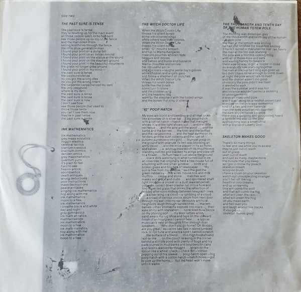 Captain Beefheart & The Magic Band : Ice Cream For Crow (LP, Album)