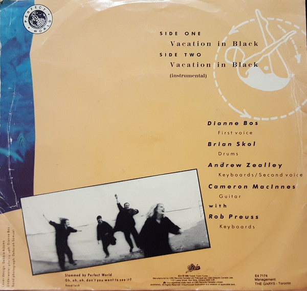 Perfect World (2) : Vacation In Black (7")
