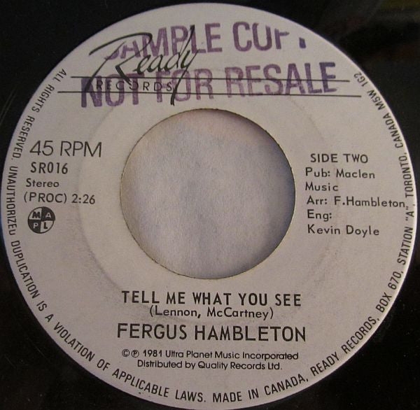 Fergus Hambleton : (She's On)The Other Side  (7", Single)