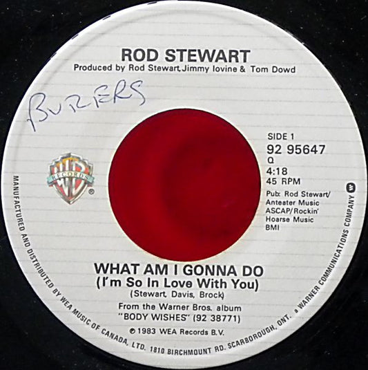 Rod Stewart : What Am I Gonna Do (I'm So In Love With You) (7", Single)