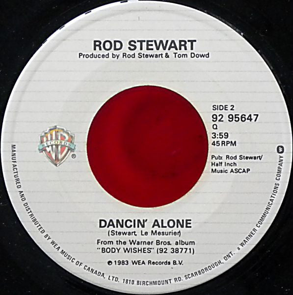 Rod Stewart : What Am I Gonna Do (I'm So In Love With You) (7", Single)