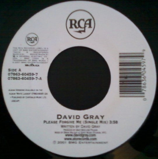David Gray : Please Forgive Me (7", Single)