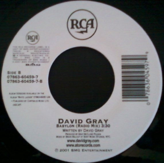 David Gray : Please Forgive Me (7", Single)