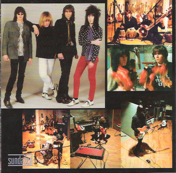 The Chesterfield Kings : The Mindbending Sounds Of... The Chesterfield Kings (CD, Album)