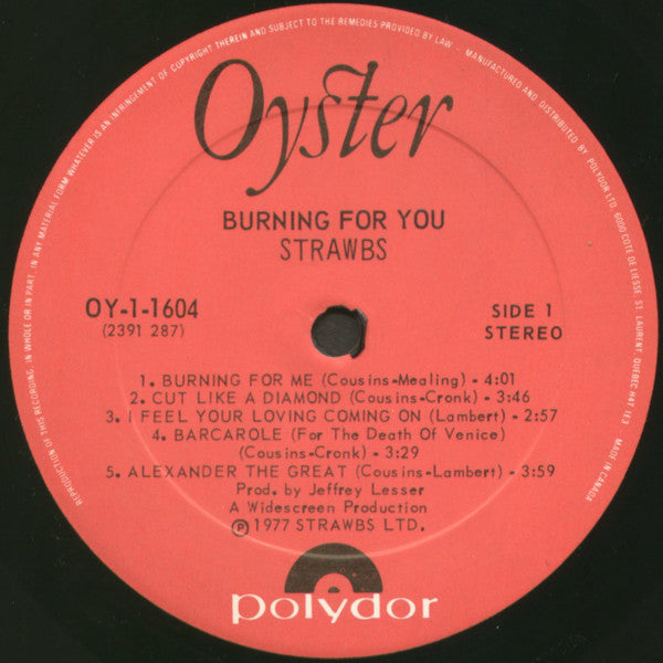 Strawbs : Burning For You (LP, Album)