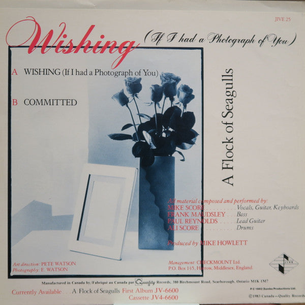 A Flock Of Seagulls : Wishing (If I Had A Photograph Of You) (7", Single)