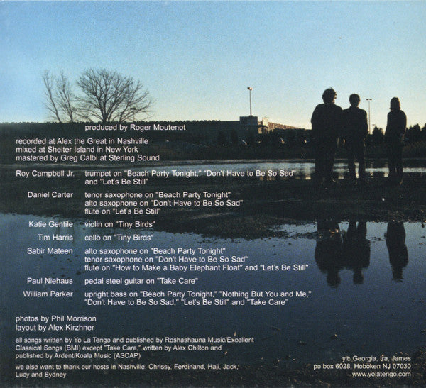 Yo La Tengo : Summer Sun (CD, Album)