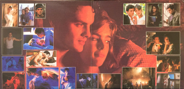 Various : Endless Love (LP, Comp, Gat)