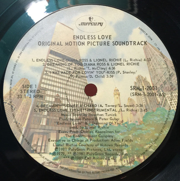 Various : Endless Love (LP, Comp, Gat)