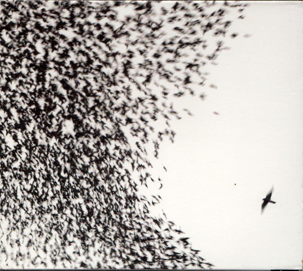 Wilco : Sky Blue Sky (CD, Album, Enh)