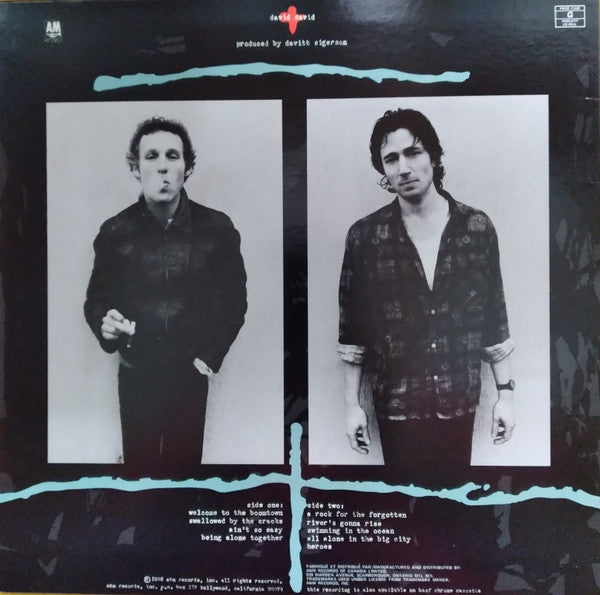 David + David : Boomtown (LP, Album)