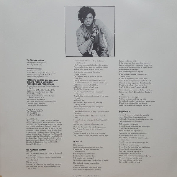 The System : The Pleasure Seekers (LP, Album)