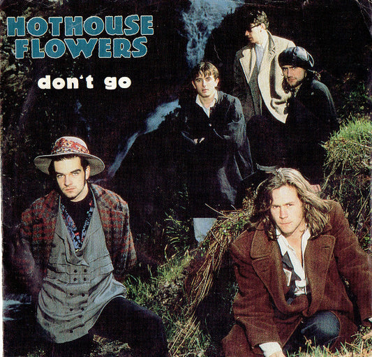 Hothouse Flowers : Don't Go (7", Single)