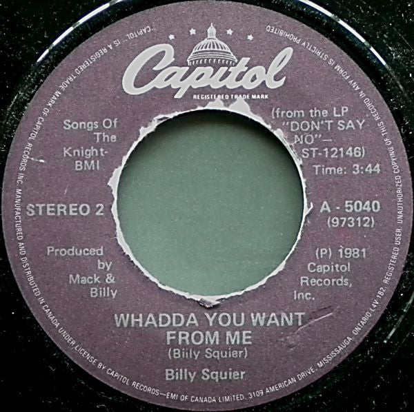 Billy Squier : In The Dark (7", Single)