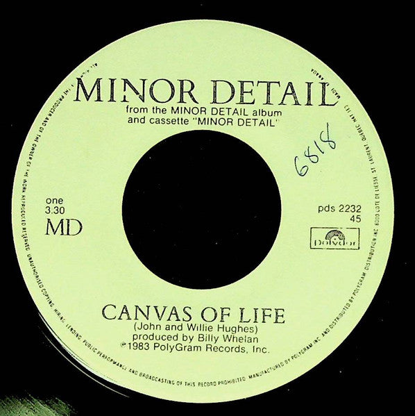 Minor Detail : Canvas Of Life (7", Single)