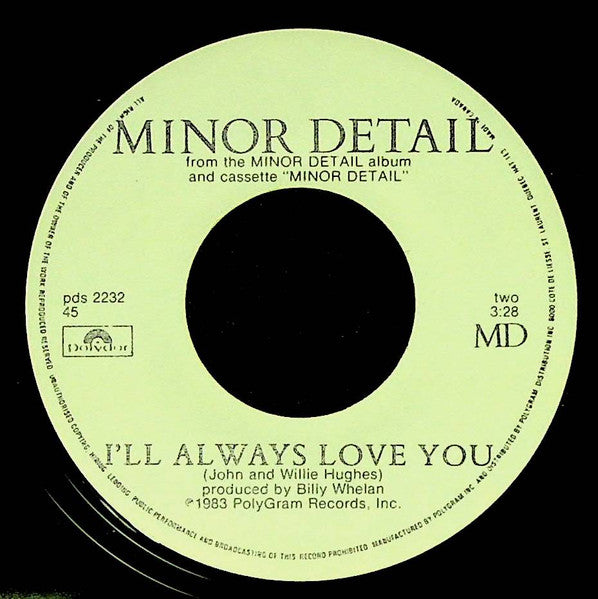 Minor Detail : Canvas Of Life (7", Single)