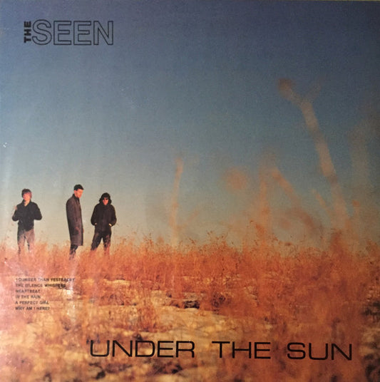 The Seen : Under The Sun / In The Rain (LP, Album)