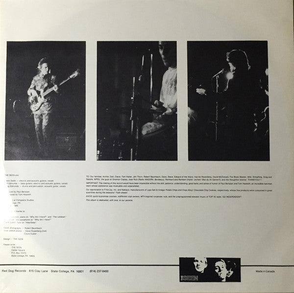 The Seen : Under The Sun / In The Rain (LP, Album)
