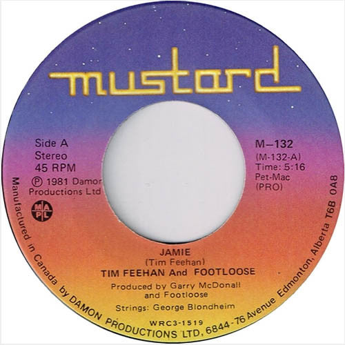Tim Feehan And Footloose (3) : Jamie / Thanks I Needed That (7")