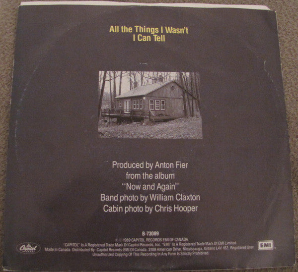 The Grapes Of Wrath : All The Things I Wasn't (7")