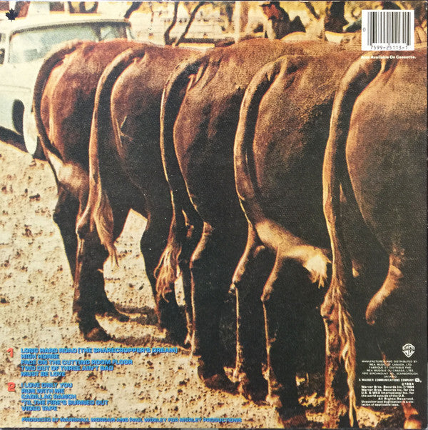 Nitty Gritty Dirt Band : Plain Dirt Fashion (LP, Album)