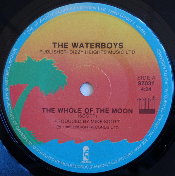 The Waterboys : The Whole Of The Moon (7", Single)