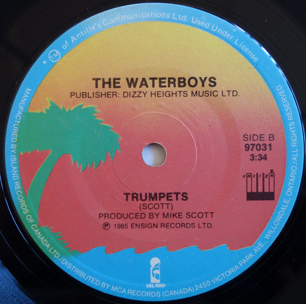 The Waterboys : The Whole Of The Moon (7", Single)