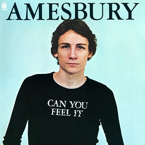 Bill Amesbury : Can You Feel It (LP, Album)