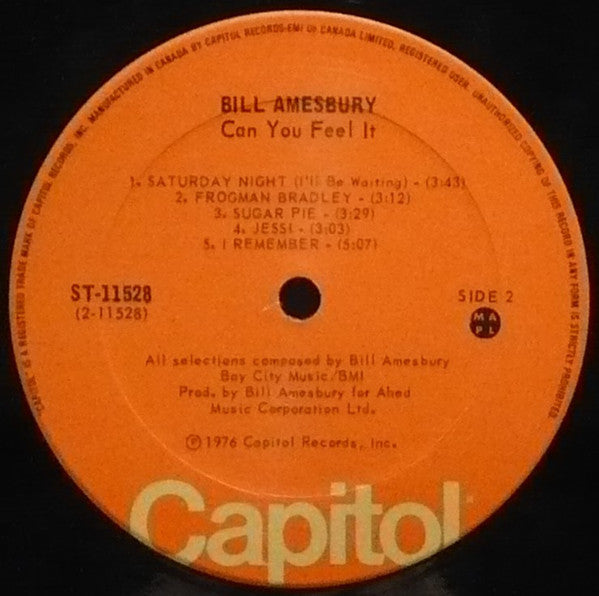 Bill Amesbury : Can You Feel It (LP, Album)
