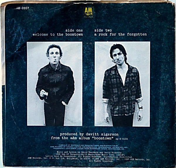 David + David : Welcome To The Boomtown (7", Single)