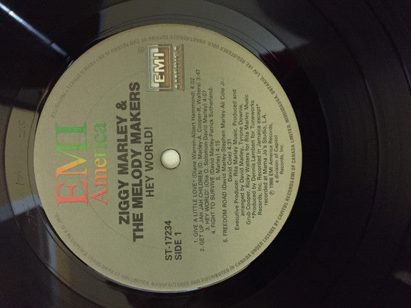 Ziggy Marley And The Melody Makers : Hey World (LP, Album)